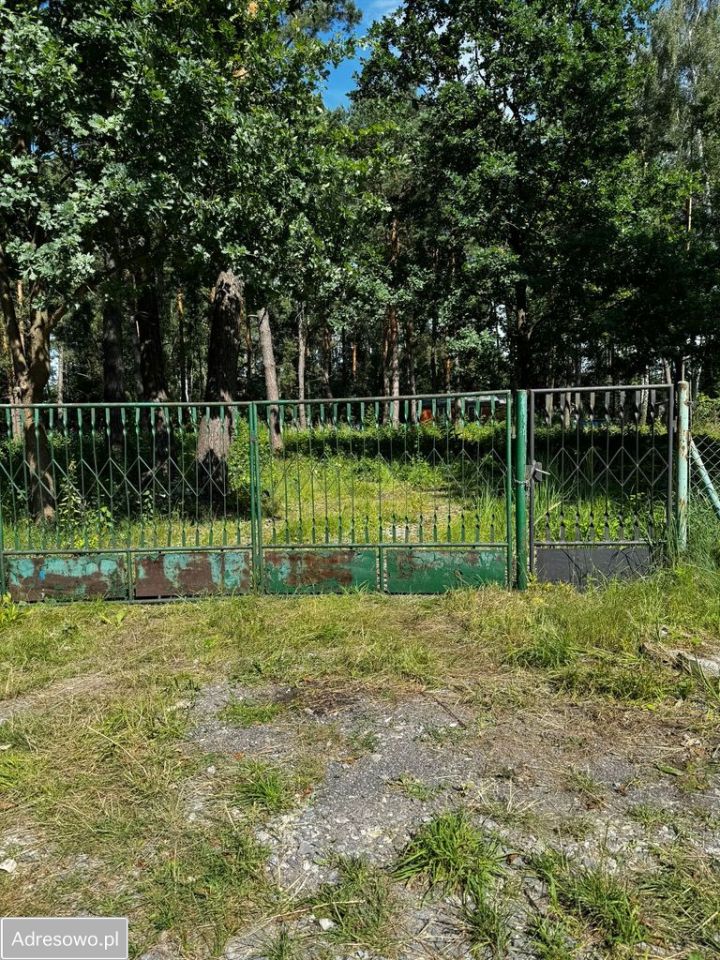 Działka leśna Krupia Wólka, ul. Główna. Zdjęcie 4