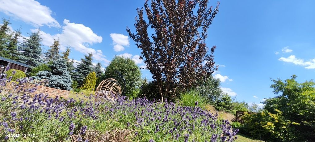 dom wolnostojący, 5 pokoi Kobylanka. Zdjęcie 6