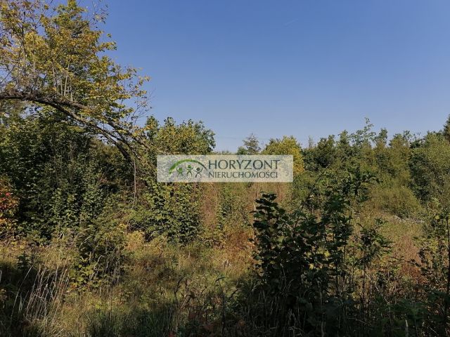 Działka Sulęczyno. Zdjęcie 6