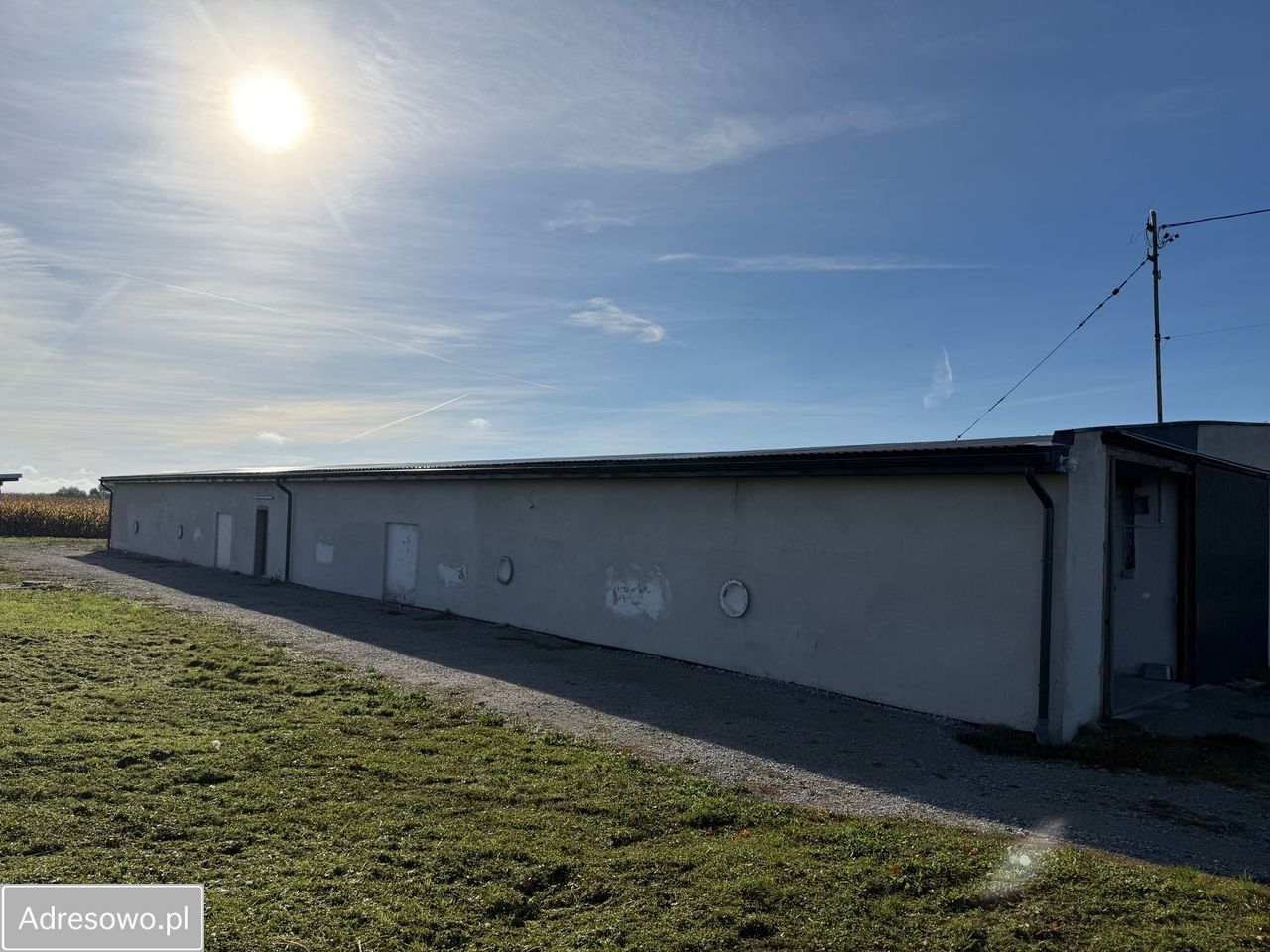 Hala/magazyn Pielgrzymowice. Zdjęcie 15