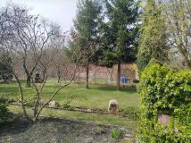 Działka rod Zabrze, ul. Józefa Rymera. Zdjęcie 4