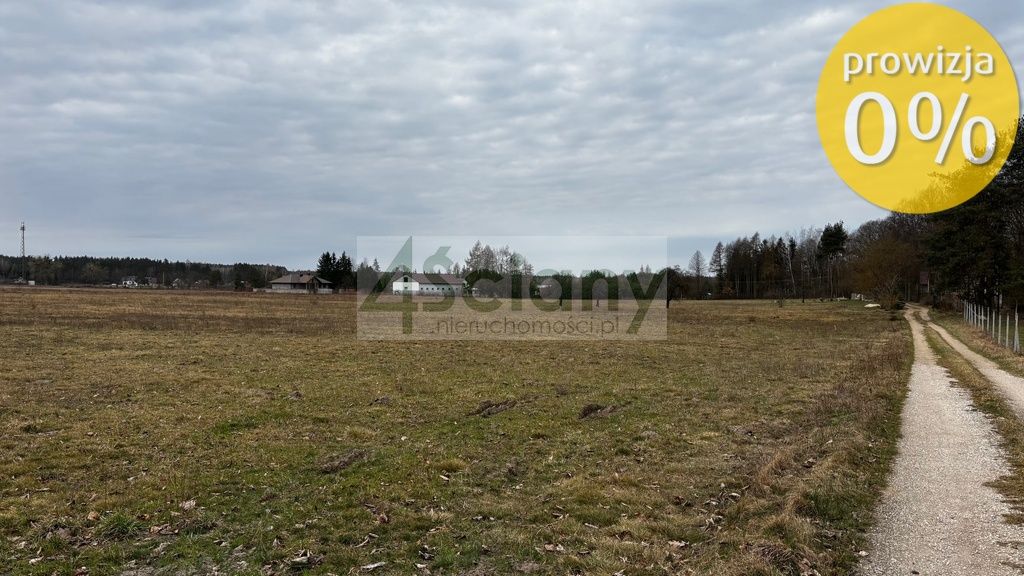 Działka rolna Chudolipie. Zdjęcie 4