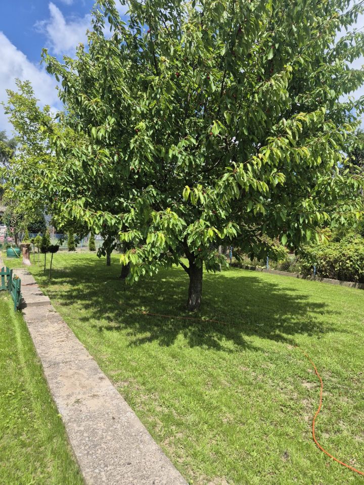 Działka rod Płock, ul. Kobiałka. Zdjęcie 3