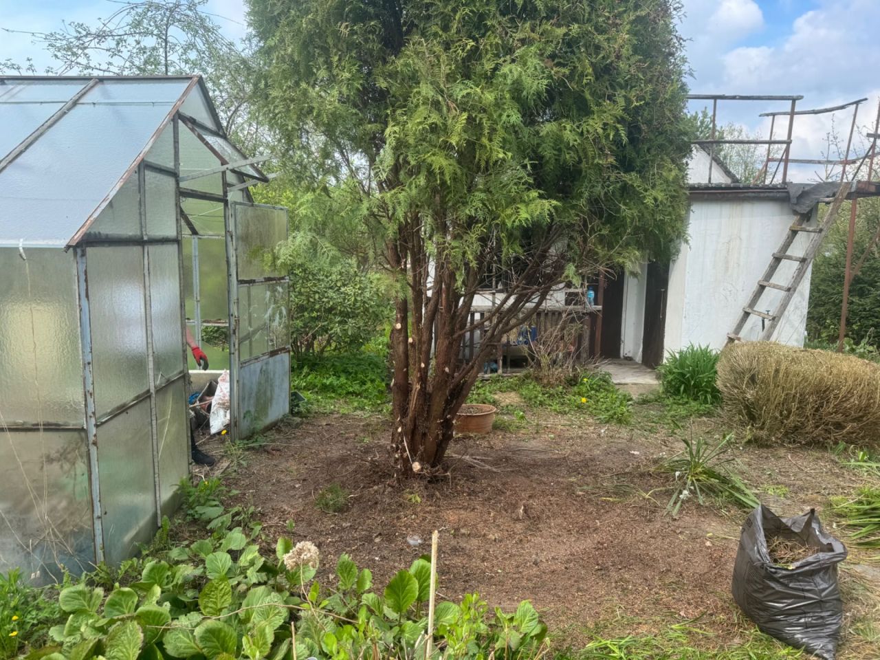 Działka rod Olsztyn. Zdjęcie 8