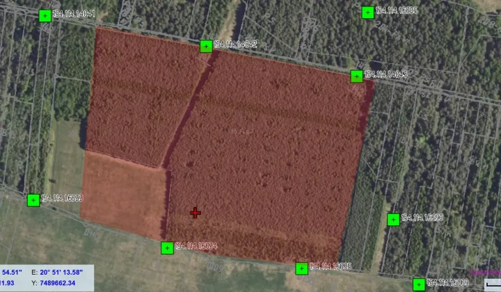 Działka leśna Pierzchnica