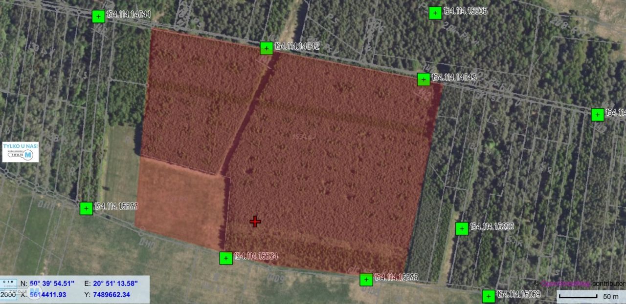 Działka leśna Pierzchnica. Zdjęcie 1