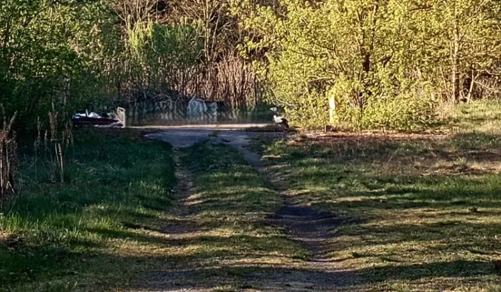 Działka budowlana Kobylarnia, ul. Sarnia