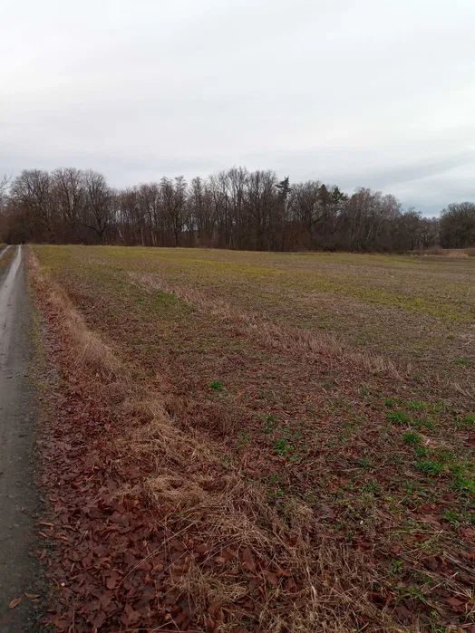 Działka budowlana Brzęczkowice. Zdjęcie 3
