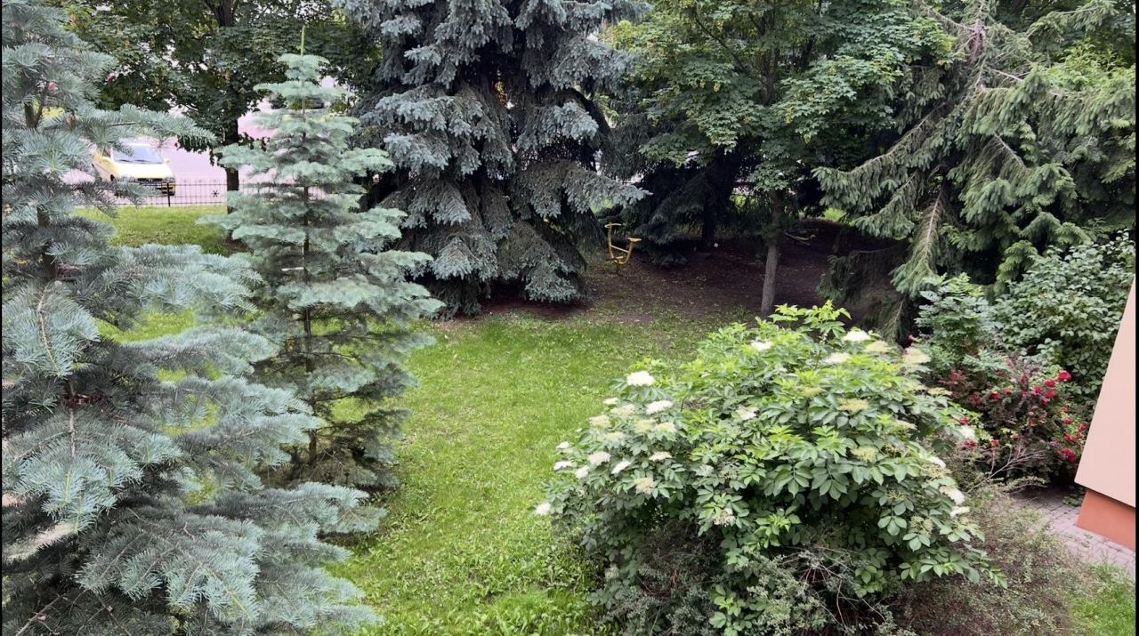 Mieszkanie 3-pokojowe Zambrów, ul. kpt. Władysława Raginisa. Zdjęcie 11
