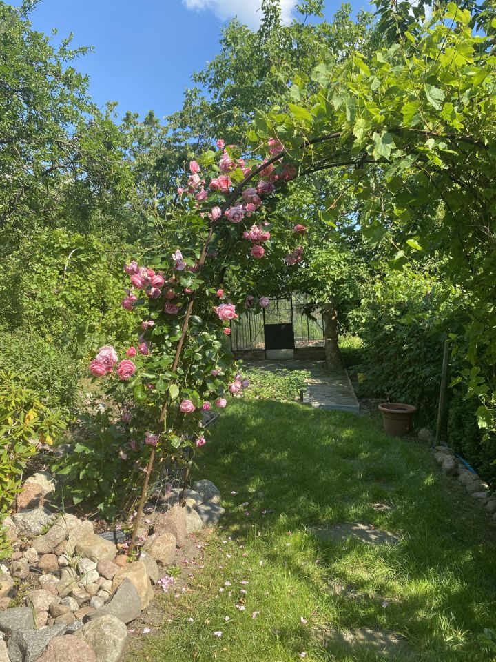 Działka rod Kołobrzeg, ul. Janiska. Zdjęcie 14