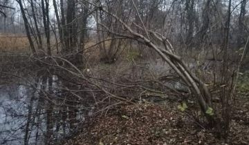 Działka inwestycyjna Ostrów, ul. Cicha