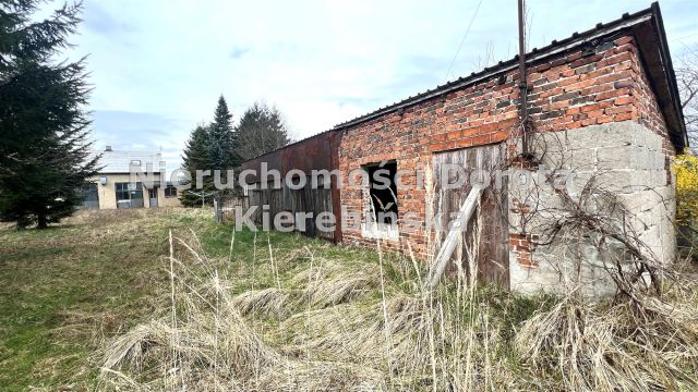 Działka Polichno. Zdjęcie 16