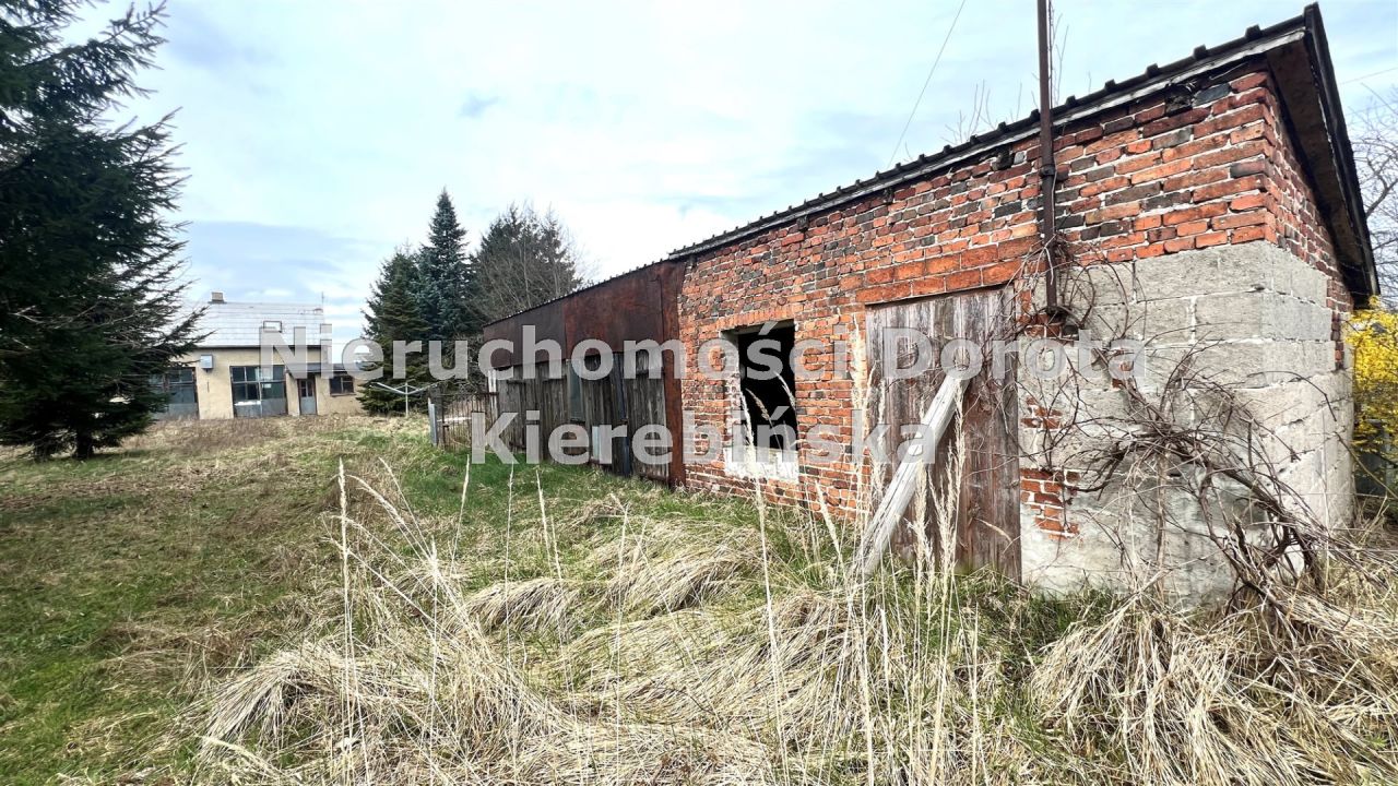 Działka Polichno. Zdjęcie 16