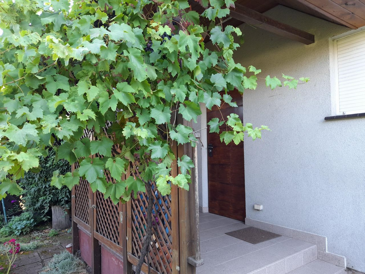 dom szeregowy, 4 pokoje Gryfino, ul. Orląt Lwowskich. Zdjęcie 16