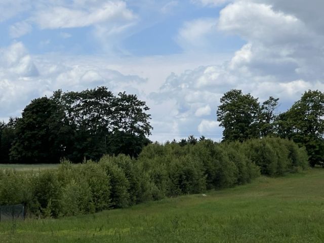 Działka budowlana Gostyniec. Zdjęcie 1