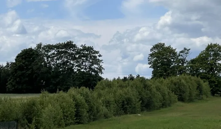 Działka budowlana Gostyniec