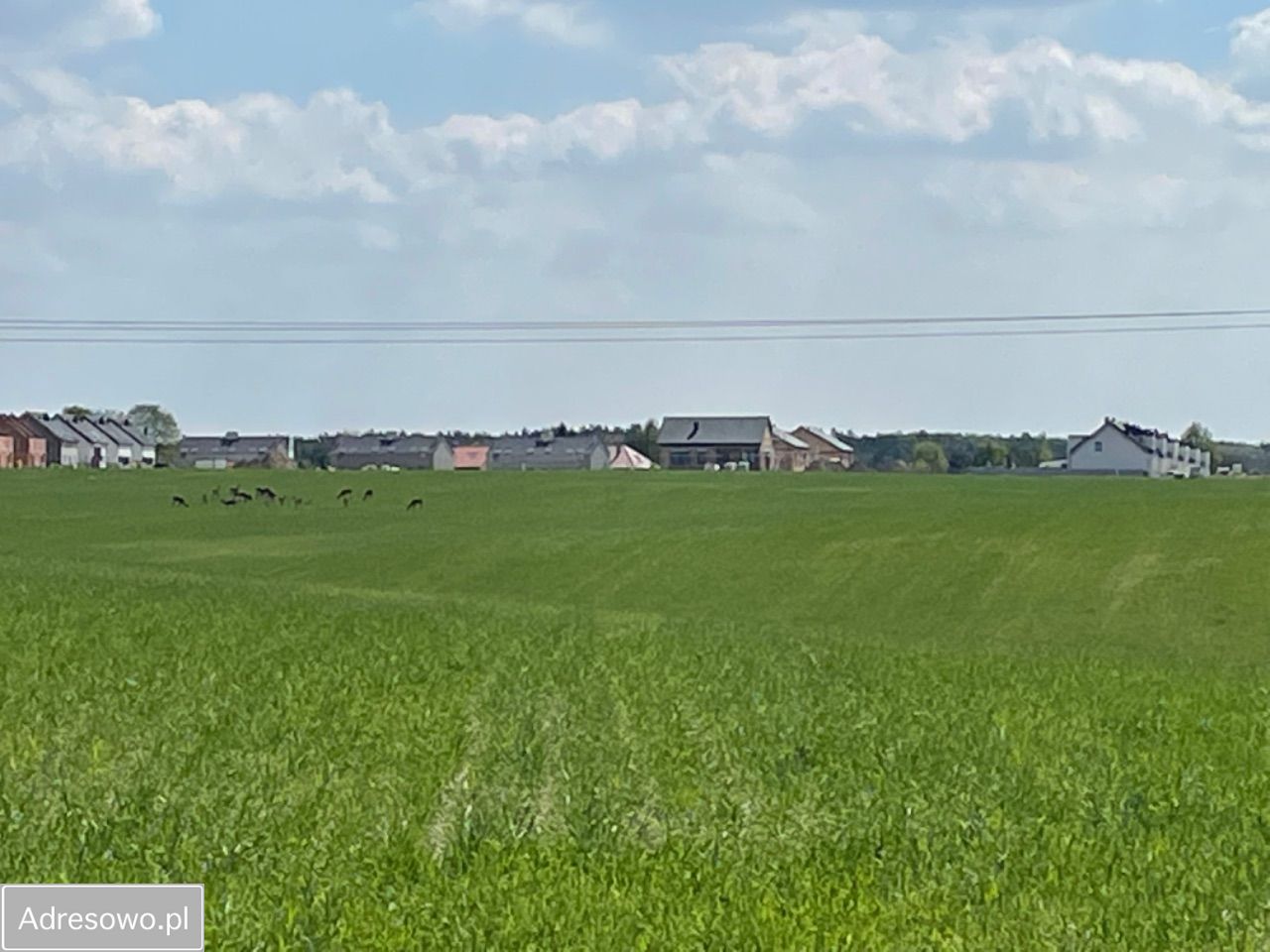 dom wolnostojący, 4 pokoje Bolechówko. Zdjęcie 3