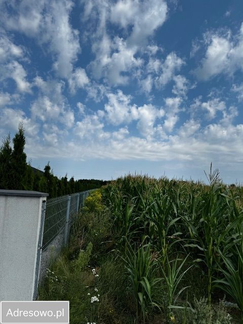 Działka rolno-budowlana Dzięglewo. Zdjęcie 6