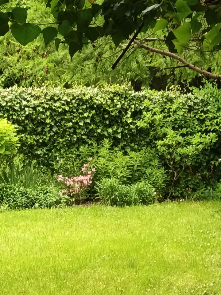 bliźniak, 5 pokoi Elbląg, NARUTOWICZA. Zdjęcie 12