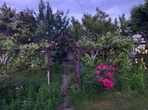 Działka rod Wrocław Szczepin, ul. Starogroblowa. Zdjęcie 2