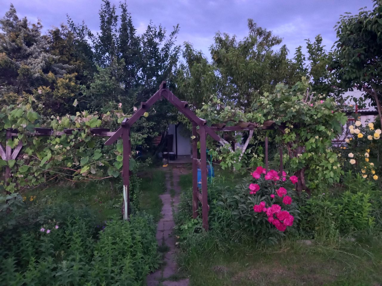 Działka rod Wrocław Szczepin, ul. Starogroblowa. Zdjęcie 3