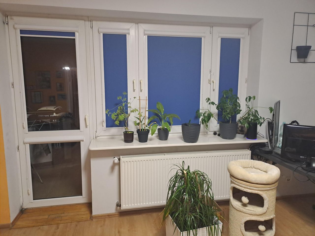 Mieszkanie 2-pokojowe Warszawa Bielany, ul. Zgrupowania "Żmija". Zdjęcie 9
