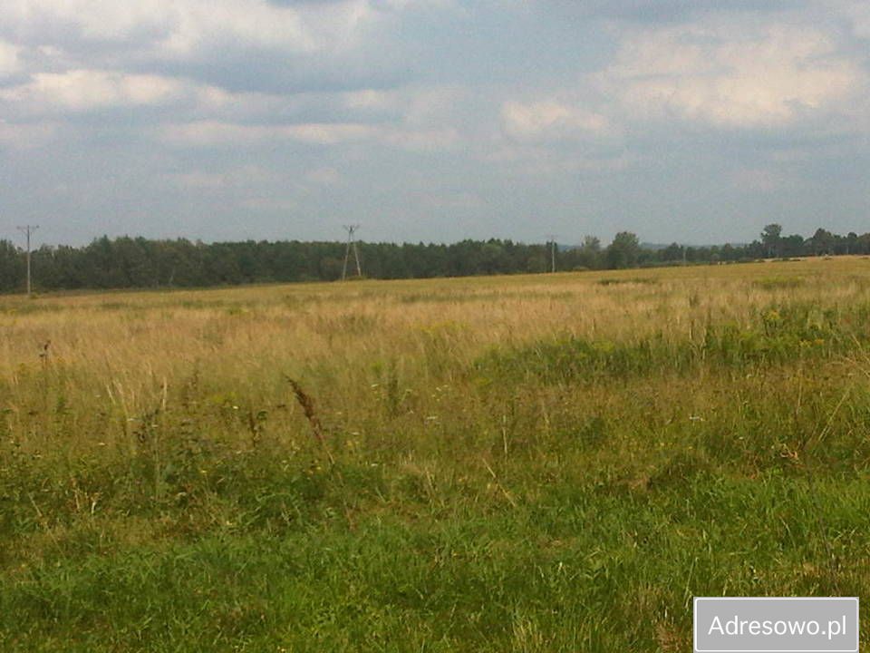 Działka inwestycyjna Hola. Zdjęcie 8