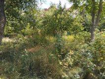 Działka rod Warszawa Targówek. Zdjęcie 4