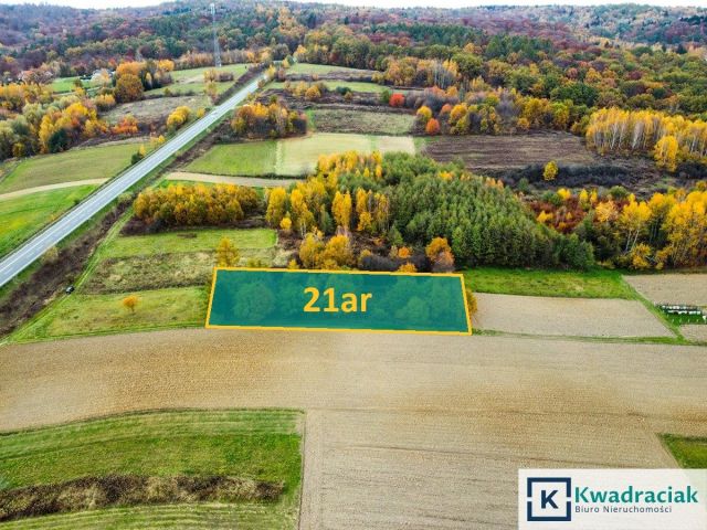 Działka rekreacyjna Warzyce. Zdjęcie 1