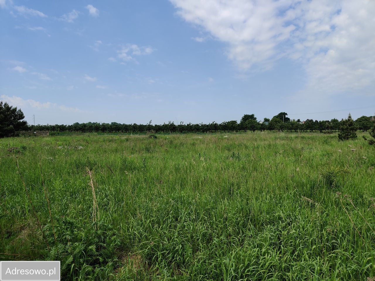 Działka budowlana Tyniec Mały, ul. Jasna Polana. Zdjęcie 7