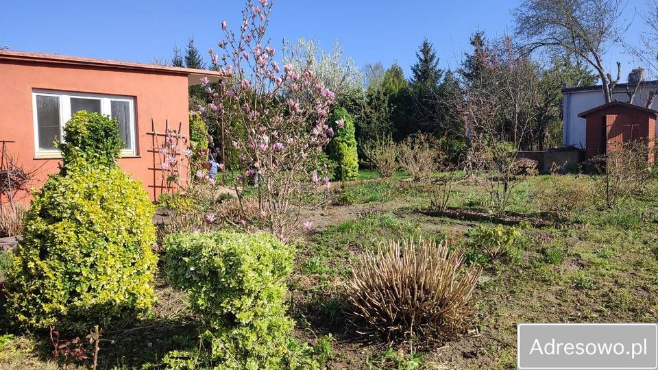 Działka rod Rumin. Zdjęcie 6