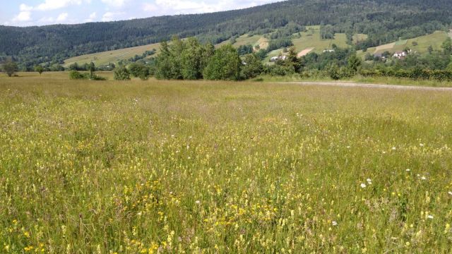Działka budowlana Nowica. Zdjęcie 1