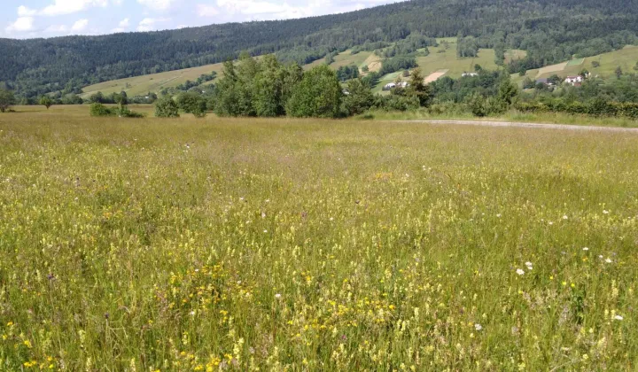 Działka budowlana Nowica