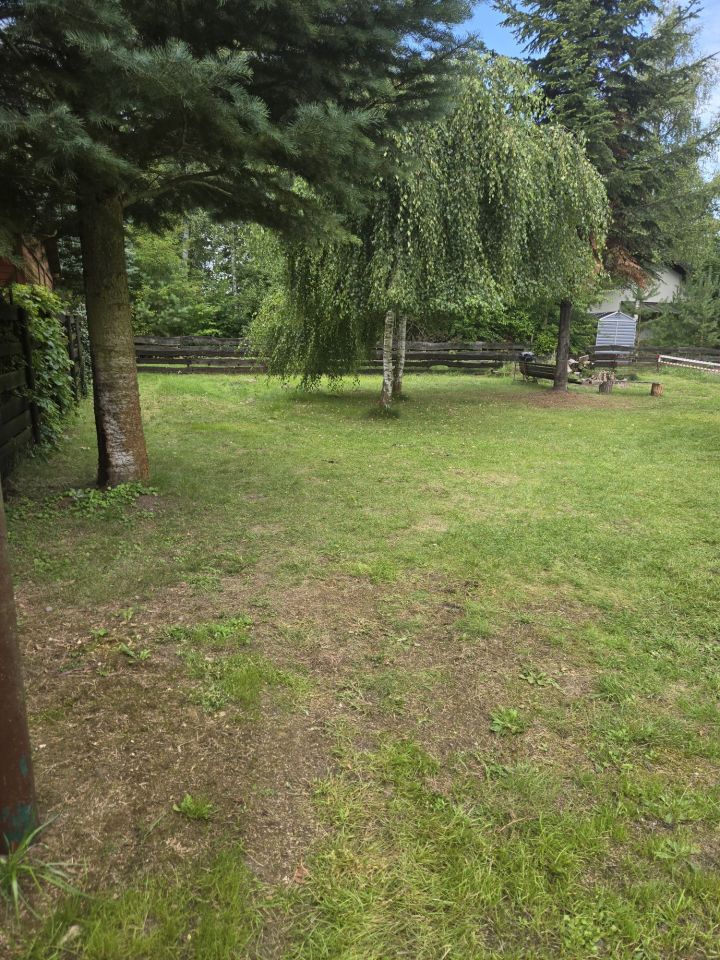 Działka rod Mrówki. Zdjęcie 7