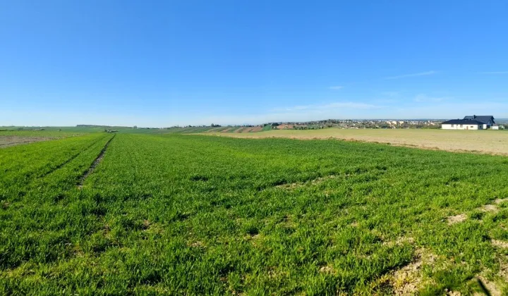 Działka budowlana Miechów, ul. Zagrody