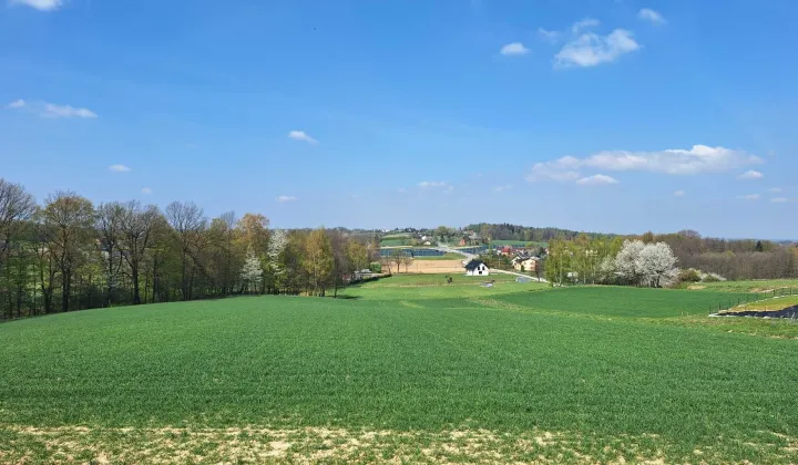 Działka budowlana Pisarzowice, ul. Czernichowska