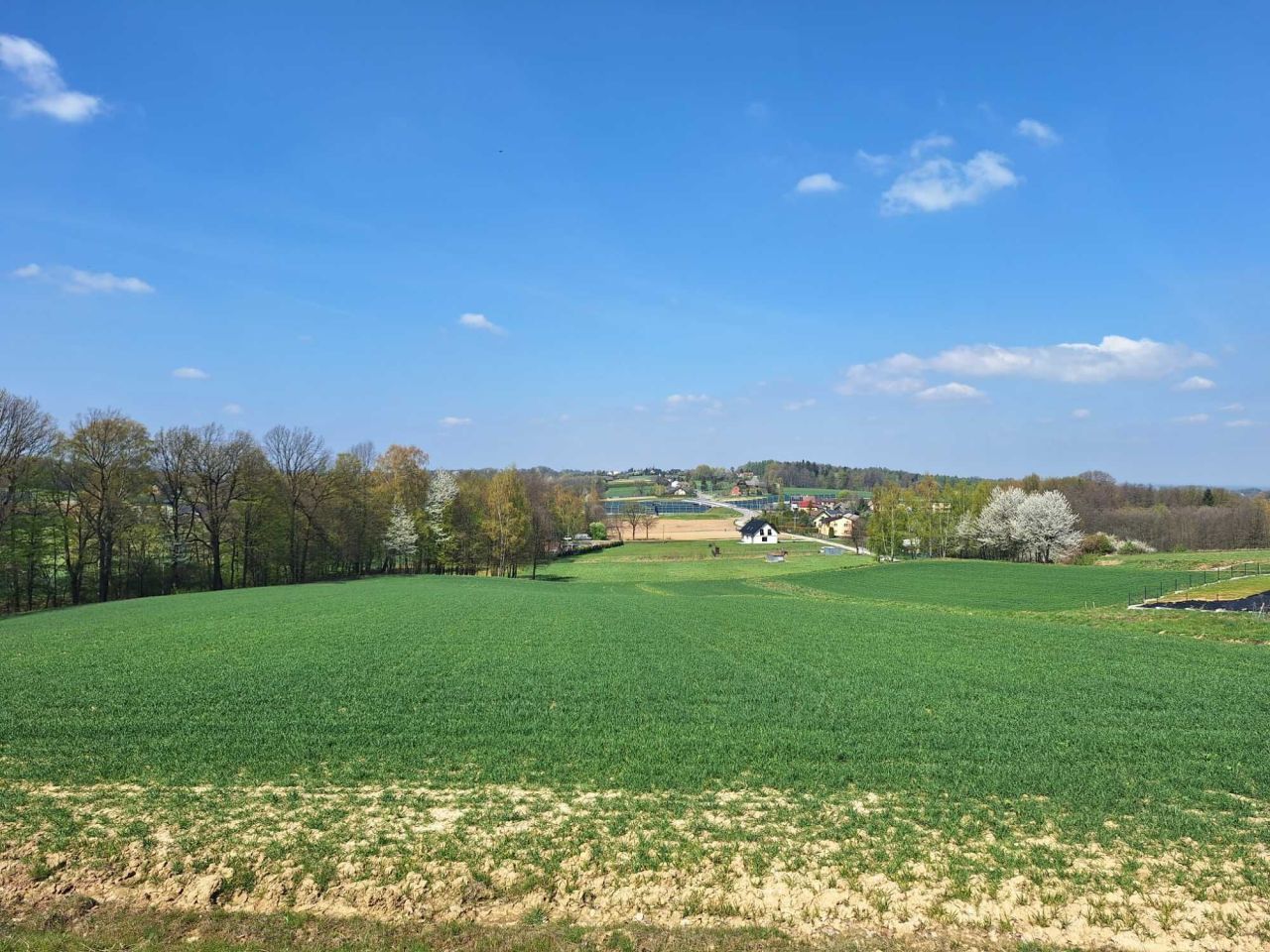 Działka budowlana Pisarzowice, ul. Czernichowska. Zdjęcie 1