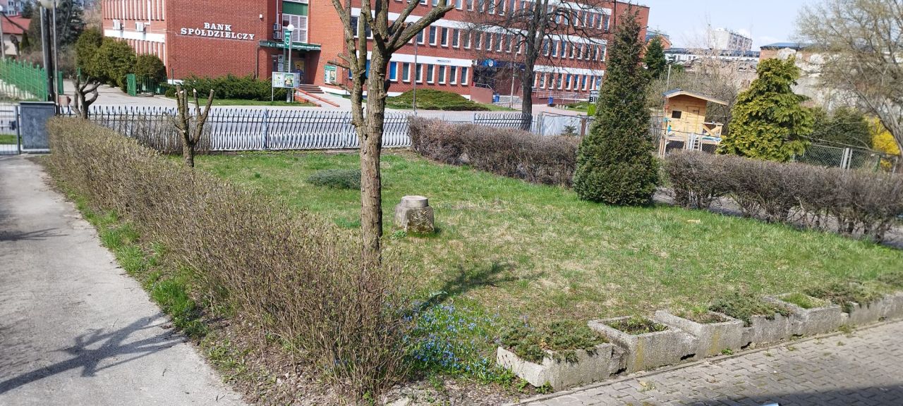 Nieruchomość komercyjna Ostrowiec Świętokrzyski Centrum, ul. Adama Wardyńskiego. Zdjęcie 10