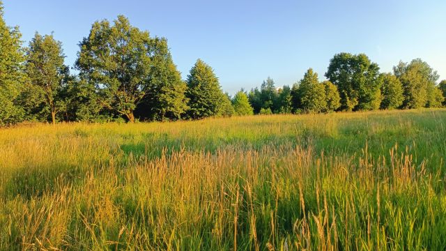 Działka inwestycyjna Majdan, ul. Trasa Lubelska. Zdjęcie 12