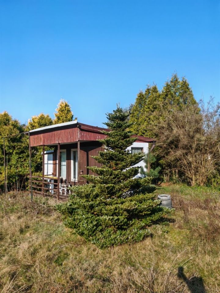 Działka rod Chludowo. Zdjęcie 4