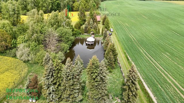 dom wolnostojący, 3 pokoje Czerniki. Zdjęcie 14