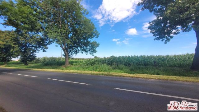 Działka budowlana Dobrzyń nad Wisłą. Zdjęcie 6