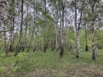 Działka budowlana Jagatowo, ul. Maślakowa. Zdjęcie 4