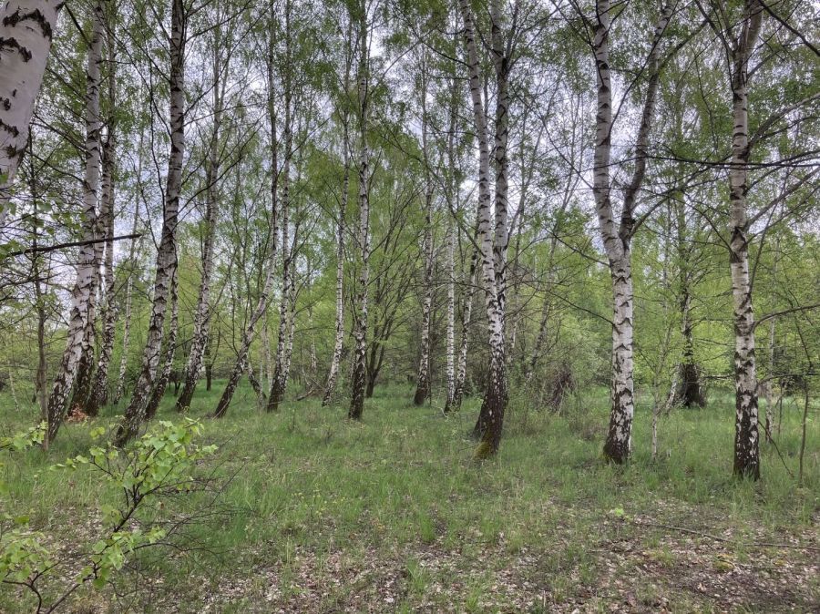 Działka budowlana Jagatowo, ul. Maślakowa. Zdjęcie 5