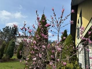 dom wolnostojący, 4 pokoje Bielsko-Biała Lipnik, Władysława Kiernika. Zdjęcie 9