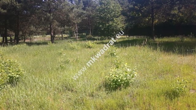 Działka budowlana Kanie. Zdjęcie 2