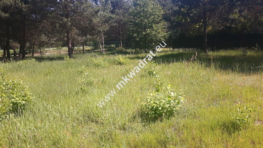 Działka budowlana Kanie. Zdjęcie 2