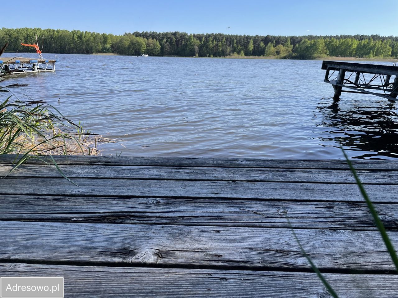 Działka rekreacyjna Barkowice Mokre. Zdjęcie 6