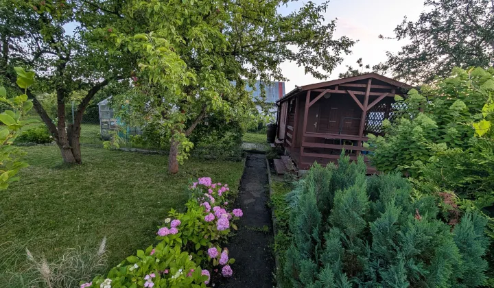 Działka rod Szczecin Dąbie