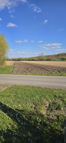 Działka rolna Pielaszów. Zdjęcie 1